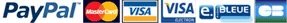PayPal Visa MasterCard CarteBleue